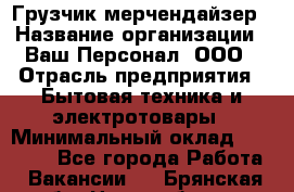 Грузчик-мерчендайзер › Название организации ­ Ваш Персонал, ООО › Отрасль предприятия ­ Бытовая техника и электротовары › Минимальный оклад ­ 18 000 - Все города Работа » Вакансии   . Брянская обл.,Новозыбков г.